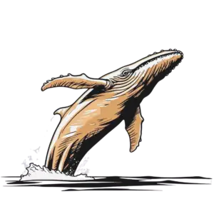 West Coast Whale Watching with Rooikat Safari