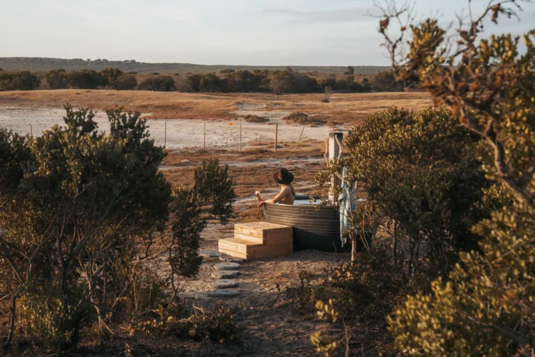 RooikatImages-266compressed