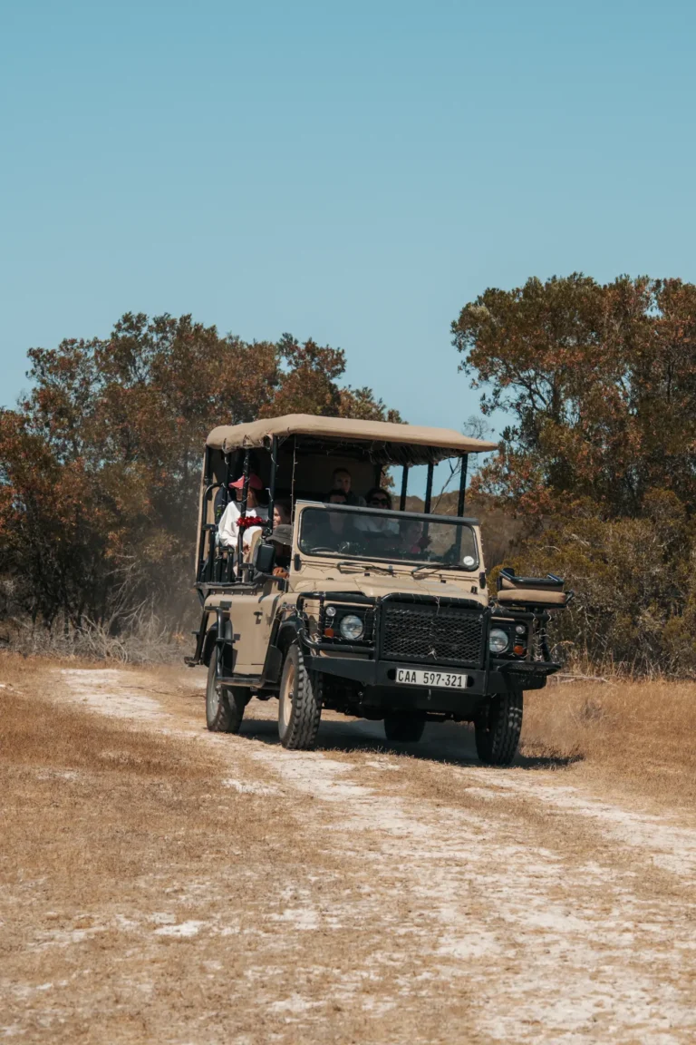 Rooikat Safari Collection on West Coast Private Game Reserve, the closest safari destination to Cape Town